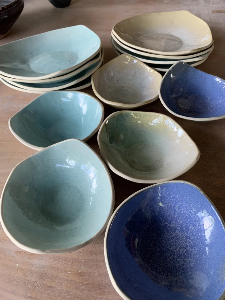 cuencos lycaon pictus