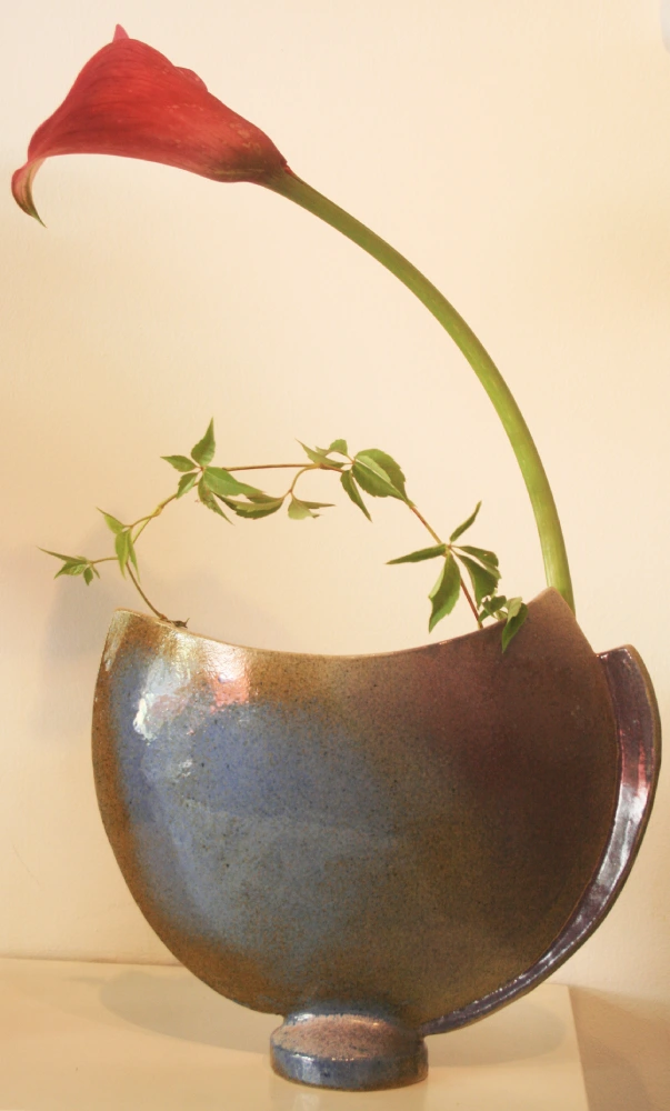 jarron lycaon pictus